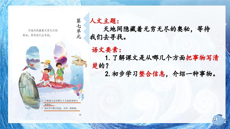 23 海底世界（教学课件）-2023-2024学年语文三年级下册统编版01