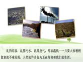 《口语交际一：我们与环境》（课件）-2024-2025学年统编版语文四年级上册