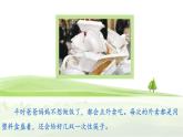 《口语交际一：我们与环境》（课件）-2024-2025学年统编版语文四年级上册