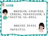 6.《夜间飞行的秘密》（课件）-2024-2025学年统编版语文四年级上册