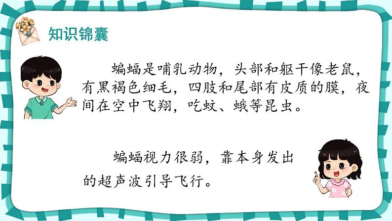 6.《夜间飞行的秘密》（课件）-2024-2025学年统编版语文四年级上册04