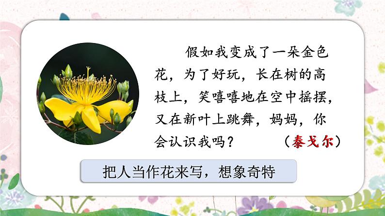 2.花的学校（课件）-2024-2025学年统编版语文三年级上册03