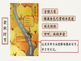 4.古诗三首（课件）-2024-2025学年统编版语文三年级上册