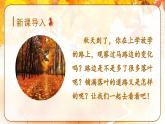 5.铺满金色巴掌的水泥道（课件）-2024-2025学年统编版语文三年级上册