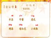 5.铺满金色巴掌的水泥道（课件）-2024-2025学年统编版语文三年级上册