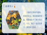 6.秋天的雨（课件）-2024-2025学年统编版语文三年级上册