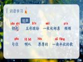 6.秋天的雨（课件）-2024-2025学年统编版语文三年级上册