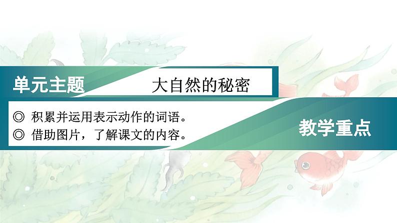 1.小蝌蚪找妈妈（课件）-2024-2025学年统编版语文二年级上册第1页