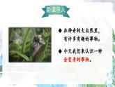 2.我是什么（课件）-2024-2025学年统编版语文二年级上册