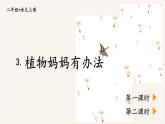 3.植物妈妈有办法（课件）-2024-2025学年统编版语文二年级上册