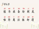 3.植物妈妈有办法（课件）-2024-2025学年统编版语文二年级上册