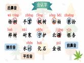 识字2 树之歌（课件）-2024-2025学年统编版语文二年级上册