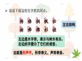 识字2 树之歌（课件）-2024-2025学年统编版语文二年级上册