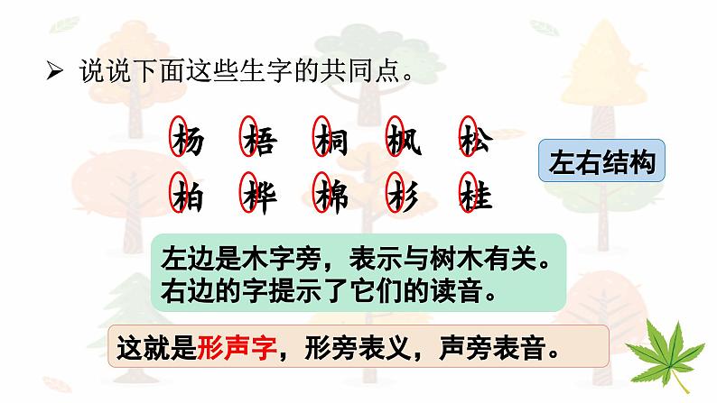 识字2 树之歌（课件）-2024-2025学年统编版语文二年级上册第5页