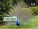 识字3 拍手歌（课件）-2024-2025学年统编版语文二年级上册