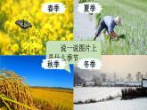 识字4 田家四季歌（课件）-2024-2025学年统编版语文二年级上册