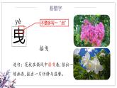 4.花之歌（课件）-2024-2025学年统编版语文六年级上册