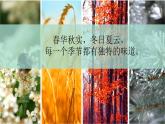 【新课标】16《夏天里的成长》课件+教案+课文朗读