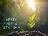 【新課標】21《三黑和土地》課件+教案+課文朗讀