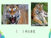 部编版小学语文四年级上册19一只窝囊的大老虎 课件