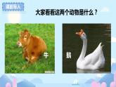 部编版小学语文四年级上册18牛和鹅 课件