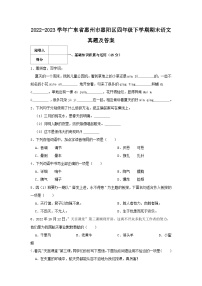 2022-2023学年广东省惠州市惠阳区四年级下学期期末语文真题及答案