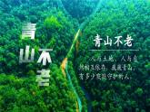 部编版六年级语文上册第20课《青山不老》优质课件