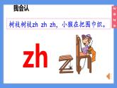 （2024）新课标语文一年级上册3-8 zh ch sh rPPT课件