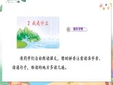 部编语文二年级上册 第1单元 2.我是什么 PPT课件+教案