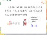 部编语文二年级上册 第1单元 3.植物妈妈有办法 PPT课件+教案
