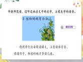 部编语文二年级上册 第1单元 3.植物妈妈有办法 PPT课件+教案