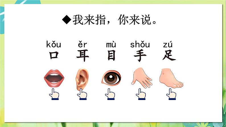 部编语文一年级上册 第1单元 3 口耳目手足 PPT课件04