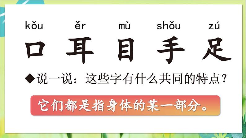 部编语文一年级上册 第1单元 3 口耳目手足 PPT课件05