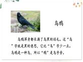 部編語文一年級(jí)上冊 第8單元 9 烏鴉喝水 PPT課件