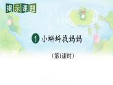 编版版语文二年级上册 1 小蝌蚪找妈妈 第一课时 教学课件