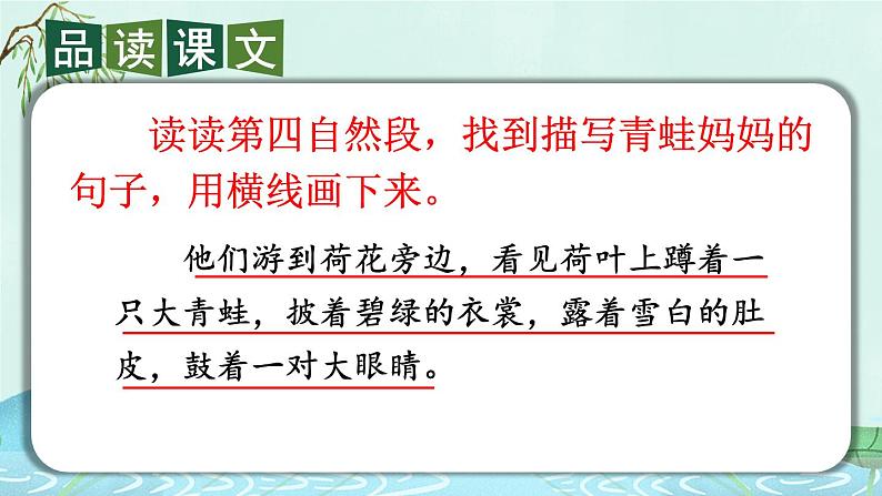 编版版语文二年级上册 1 小蝌蚪找妈妈 第二课时 教学课件04