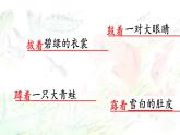 编版版语文二年级上册 1 小蝌蚪找妈妈 第二课时 教学课件