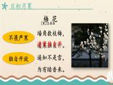 编版版语文二年级上册 语文园地一 第二课时 教学课件
