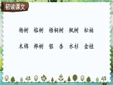 编版版语文二年级上册 2 树之歌 第一课时 教学课件