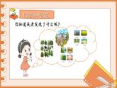 編版版語文二年級上冊 第二單元復(fù)習(xí)卡 教學(xué)課件