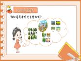 编版版语文二年级上册 第二单元复习卡 教学课件