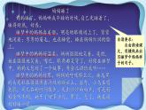 编版版语文二年级上册 7 妈妈睡了 第二课时 教学课件