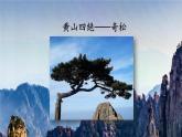 编版版语文二年级上册 9 黄山奇石 第一课时 教学课件