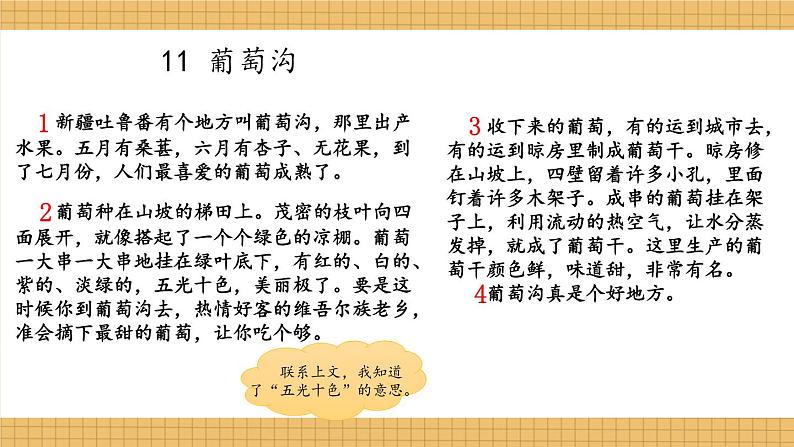 编版版语文二年级上册 11 葡萄沟 第一课时 教学课件06