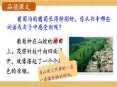 编版版语文二年级上册 11 葡萄沟 第二课时 教学课件