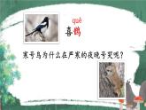 编版版语文二年级上册 13 寒号鸟 第一课时 教学课件