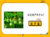 編版版語(yǔ)文二年級(jí)上冊(cè) 14 我要的是葫蘆 第一課時(shí) 教學(xué)課件