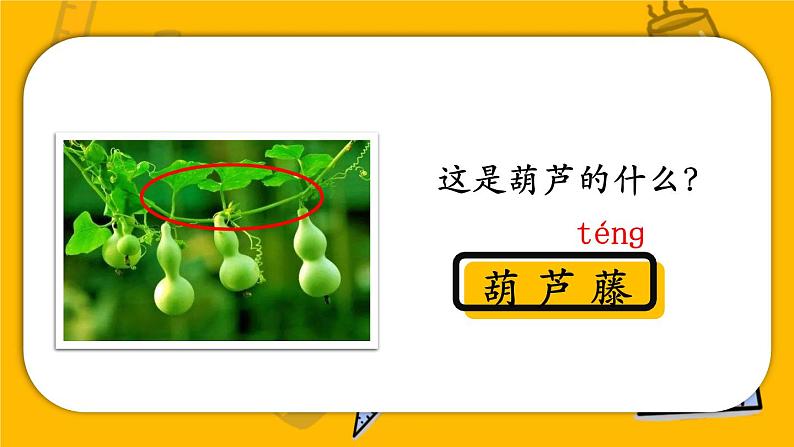 编版版语文二年级上册 14 我要的是葫芦 第一课时 教学课件第3页