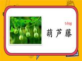 編版版語(yǔ)文二年級(jí)上冊(cè) 14 我要的是葫蘆 第一課時(shí) 教學(xué)課件