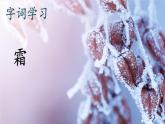 编版版语文二年级上册 20 雾在哪里 第一课时 教学课件